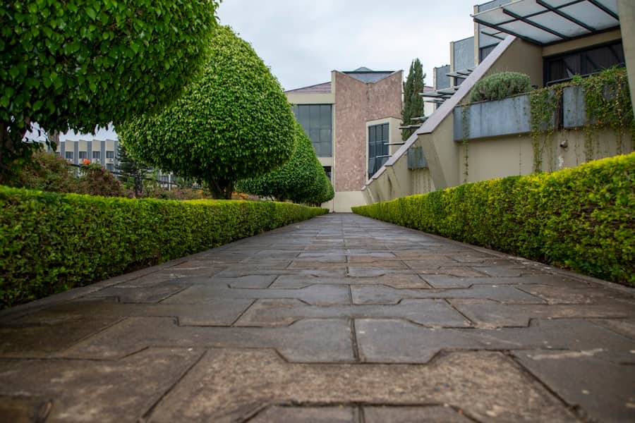 Stamped concrete walkway running between planted borders