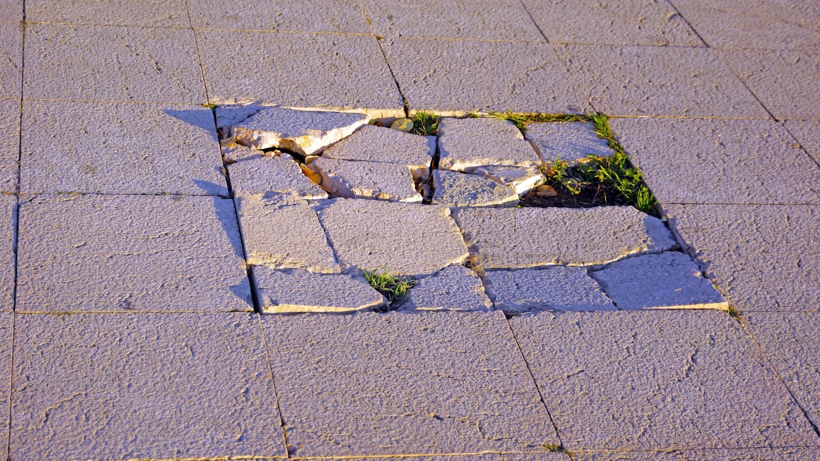 Old grey concrete patio surface covered in moss, staining, and open cracks