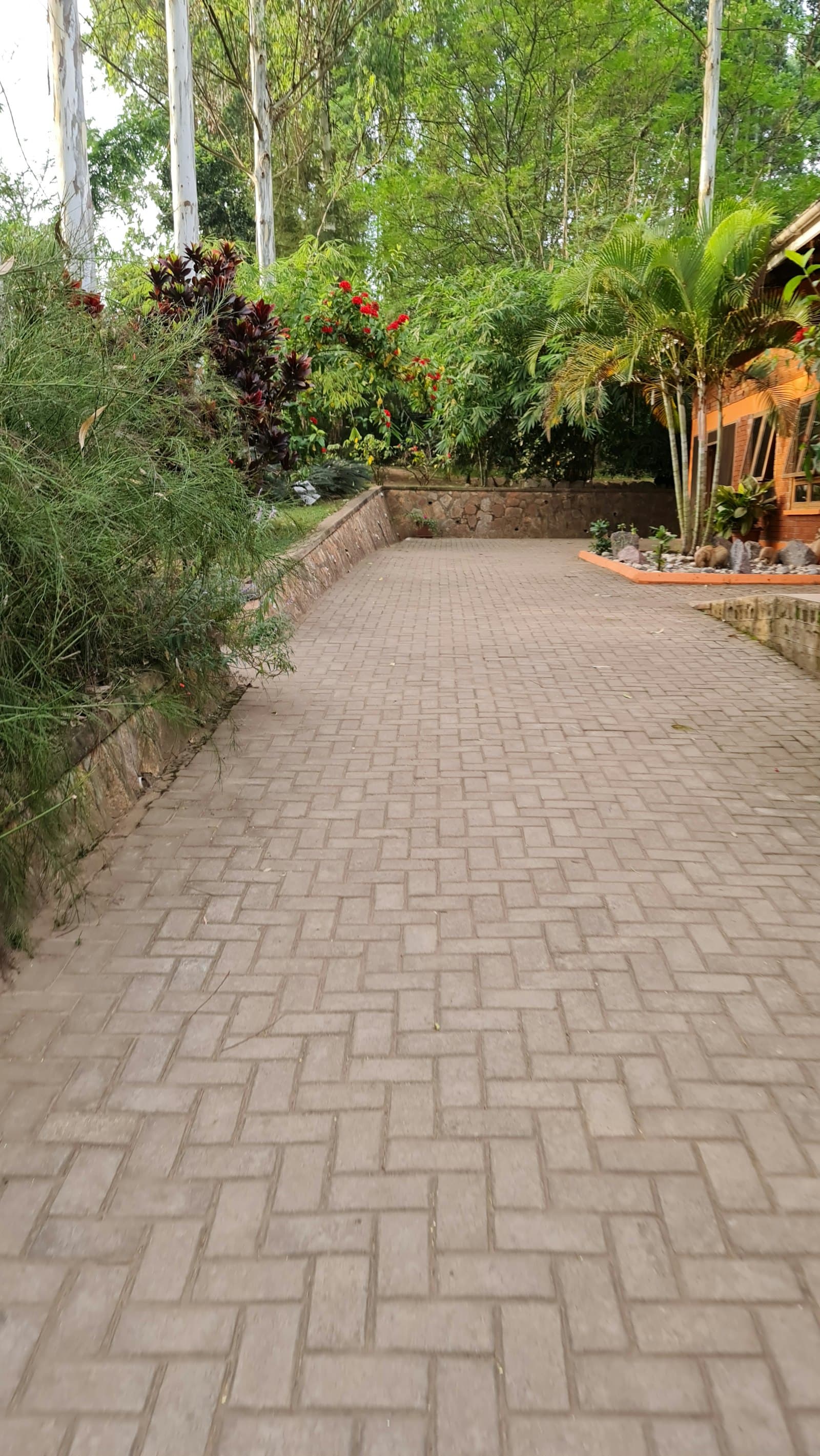Patterned concrete walkway running cleanly between planted borders