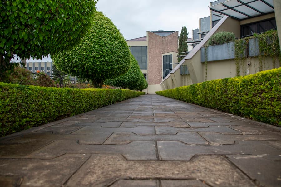Decorative stone-pattern paved walkway lined with manicured hedges